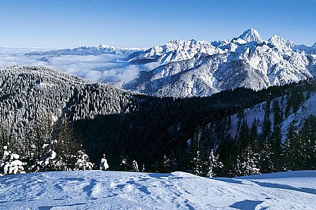 Snowy landscape 